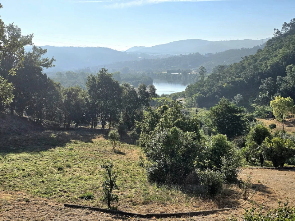 Quinta T4 para Venda em Eiras e São Paulo de Frades Foto 2