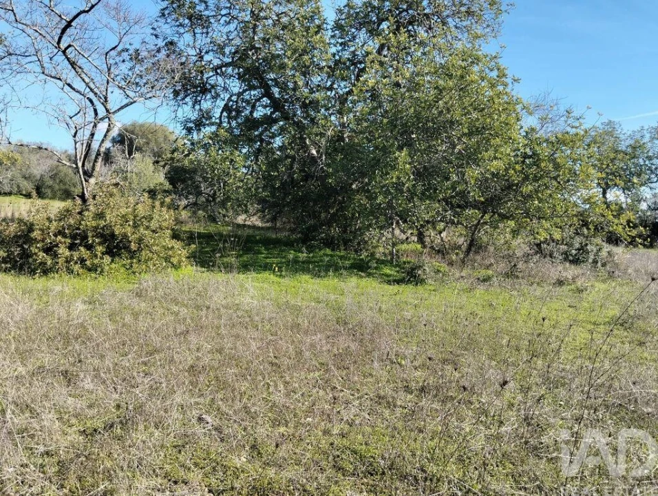 Terreno para Venda em São Brás de Alportel Foto 7
