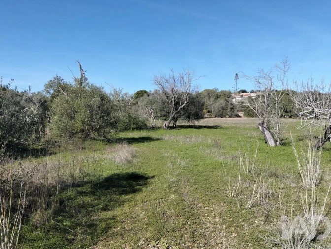 Terreno para Venda em São Brás de Alportel Foto 14