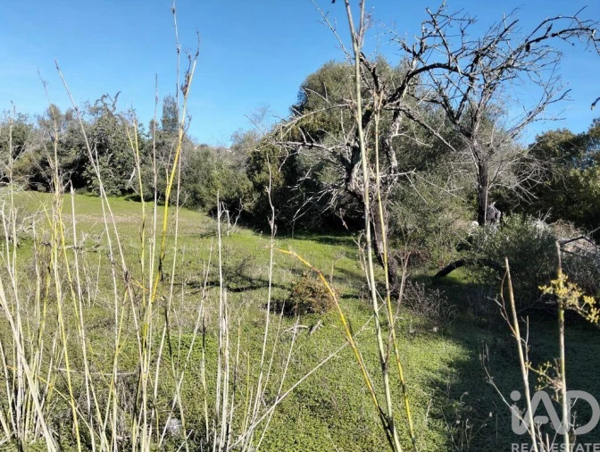 Terreno para Venda em São Brás de Alportel Foto 16