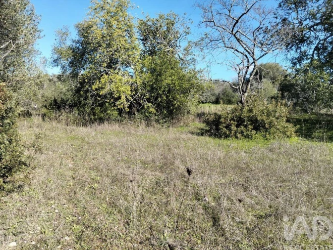 Terreno para Venda em São Brás de Alportel Foto 4