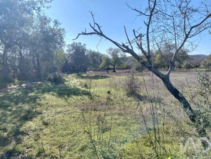 Terreno para Venda em São Brás de Alportel Foto 15