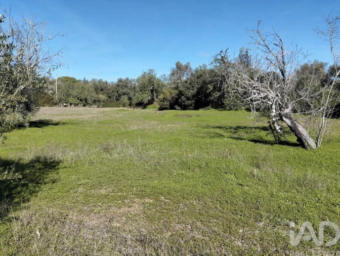 Terreno para Venda em São Brás de Alportel Foto 10
