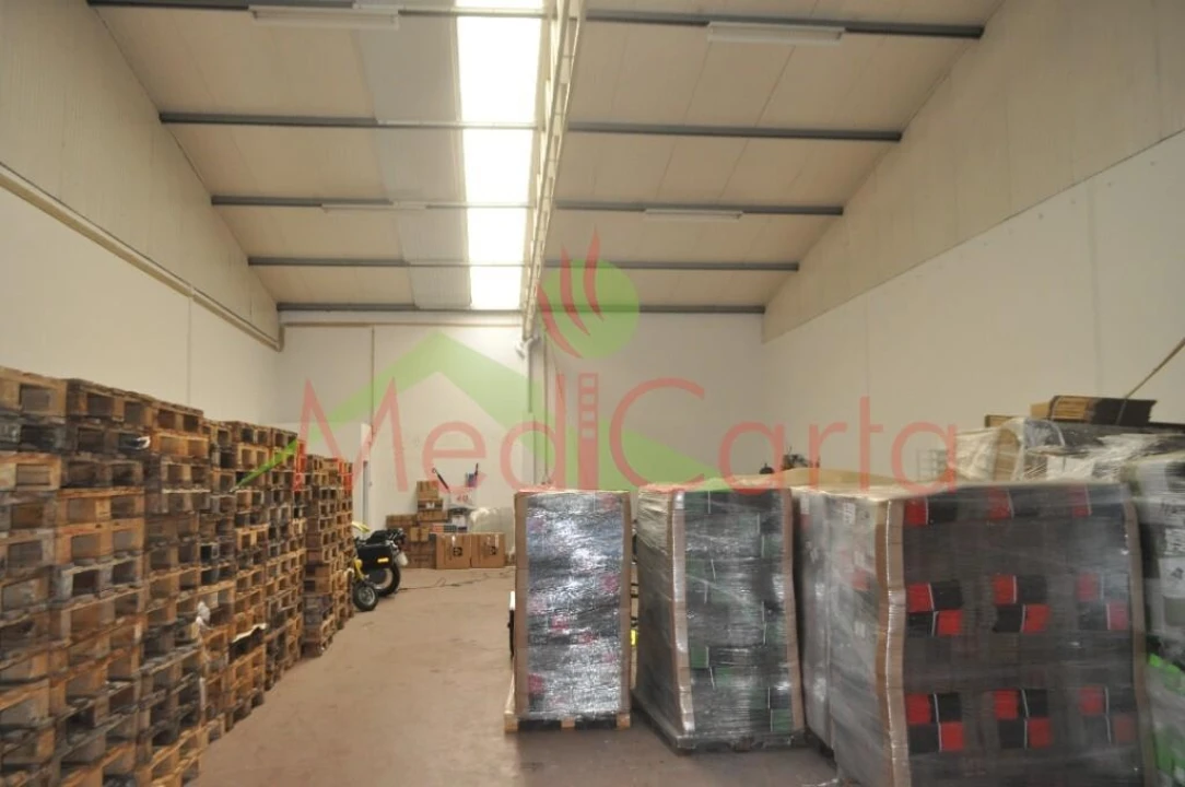 Armazém para Venda em Vila Chã de Ourique Foto 5