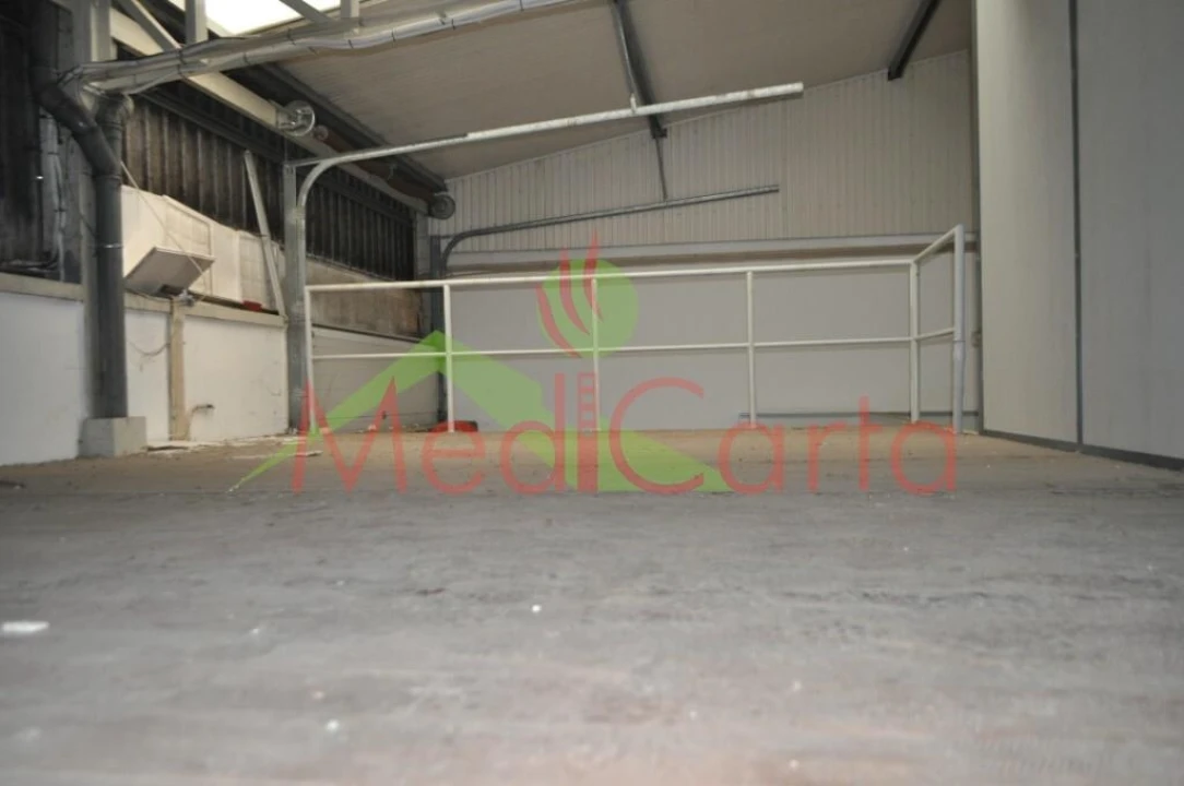 Armazém para Venda em Vila Chã de Ourique Foto 12