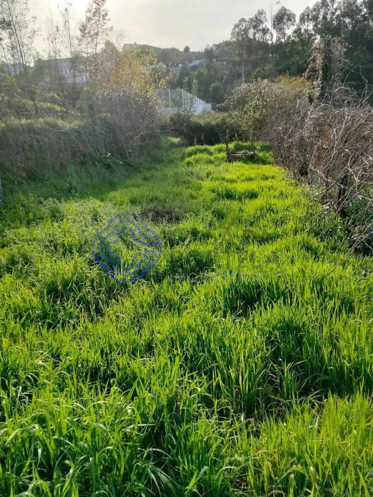 Moradia T2 para Venda em Vila Nova do Campo Foto 27