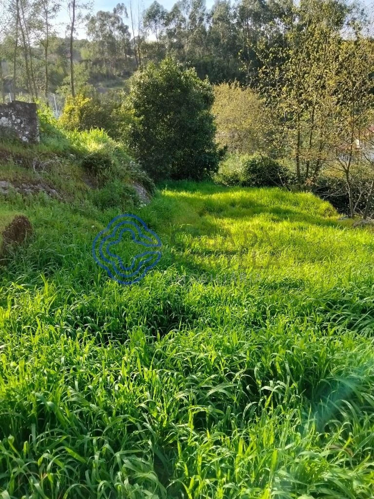 Moradia T2 para Venda em Vila Nova do Campo Foto 33