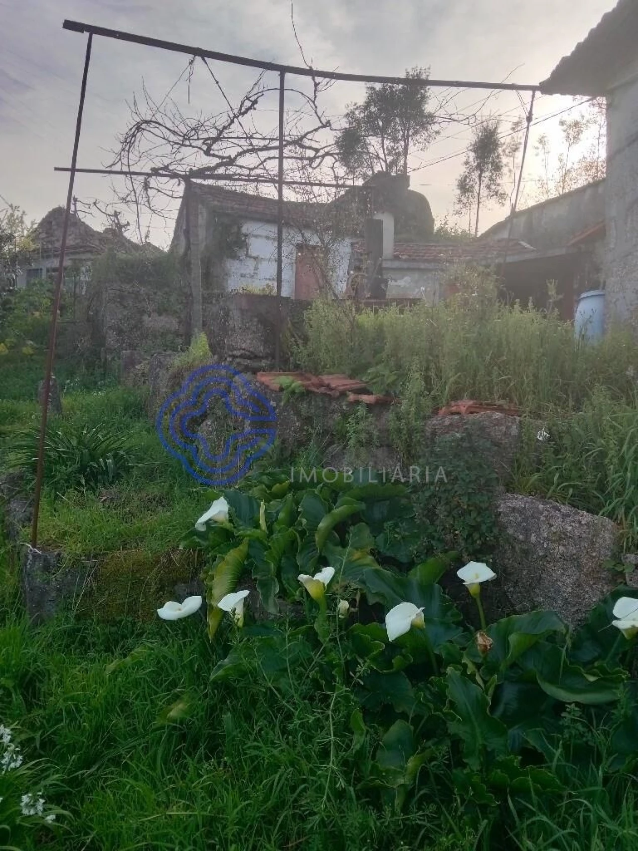 Moradia T2 para Venda em Vila Nova do Campo Foto 12