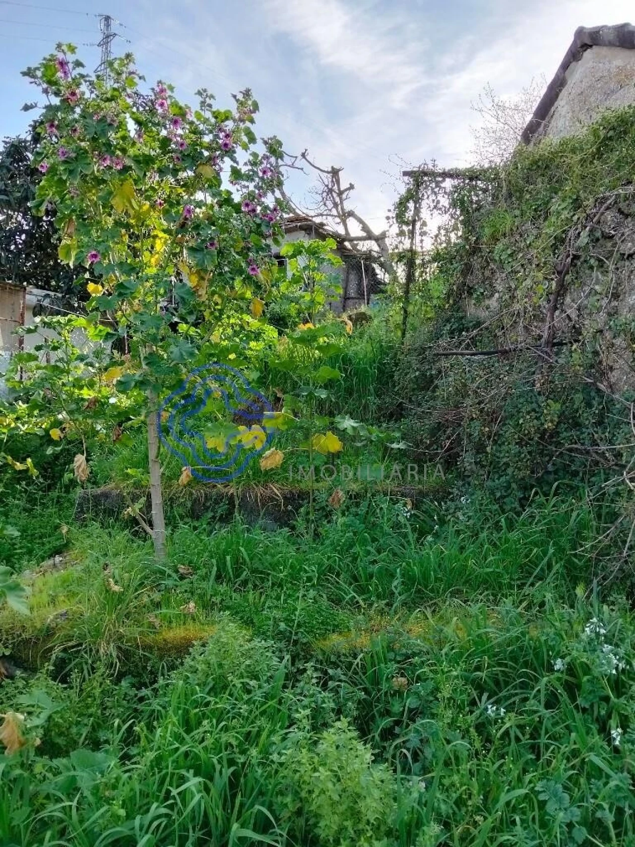 Moradia T2 para Venda em Vila Nova do Campo Foto 45