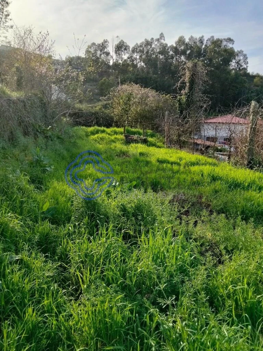 Moradia T2 para Venda em Vila Nova do Campo Foto 26