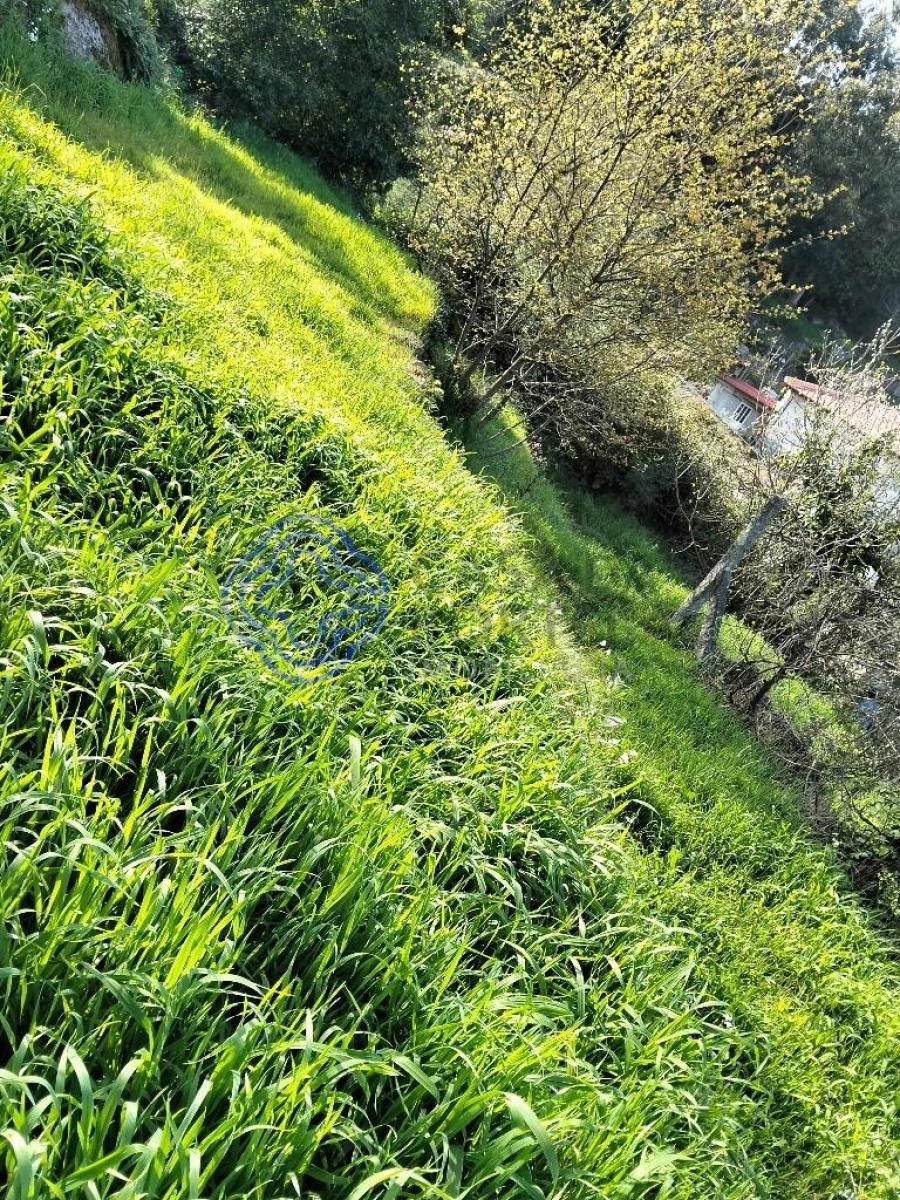 Moradia T2 para Venda em Vila Nova do Campo Foto 36