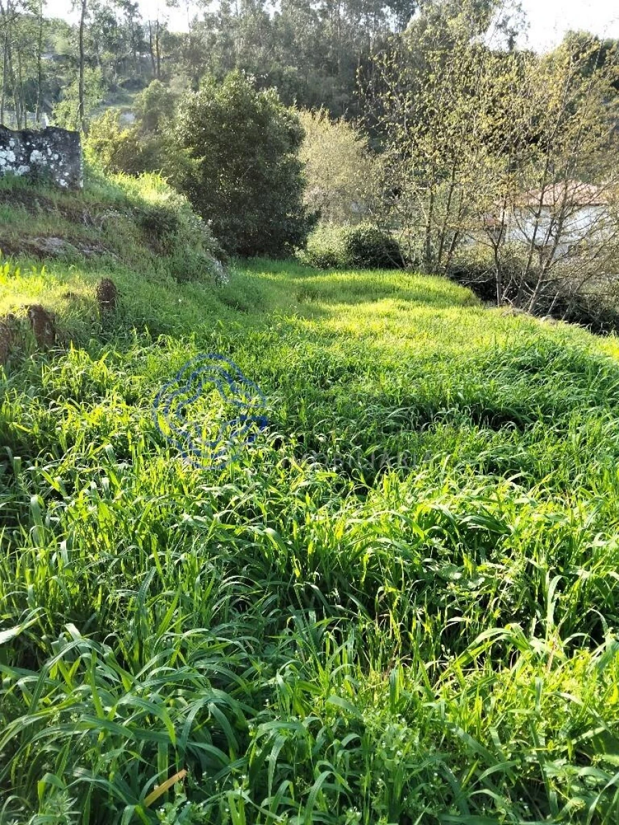 Moradia T2 para Venda em Vila Nova do Campo Foto 40