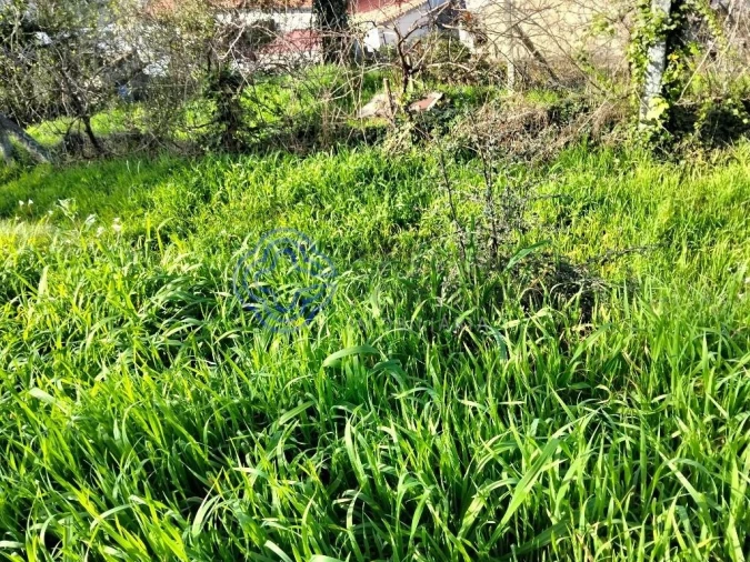 Moradia T2 para Venda em Vila Nova do Campo Foto 38