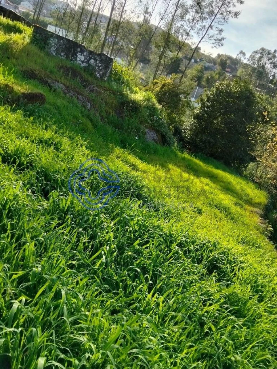 Moradia T2 para Venda em Vila Nova do Campo Foto 42