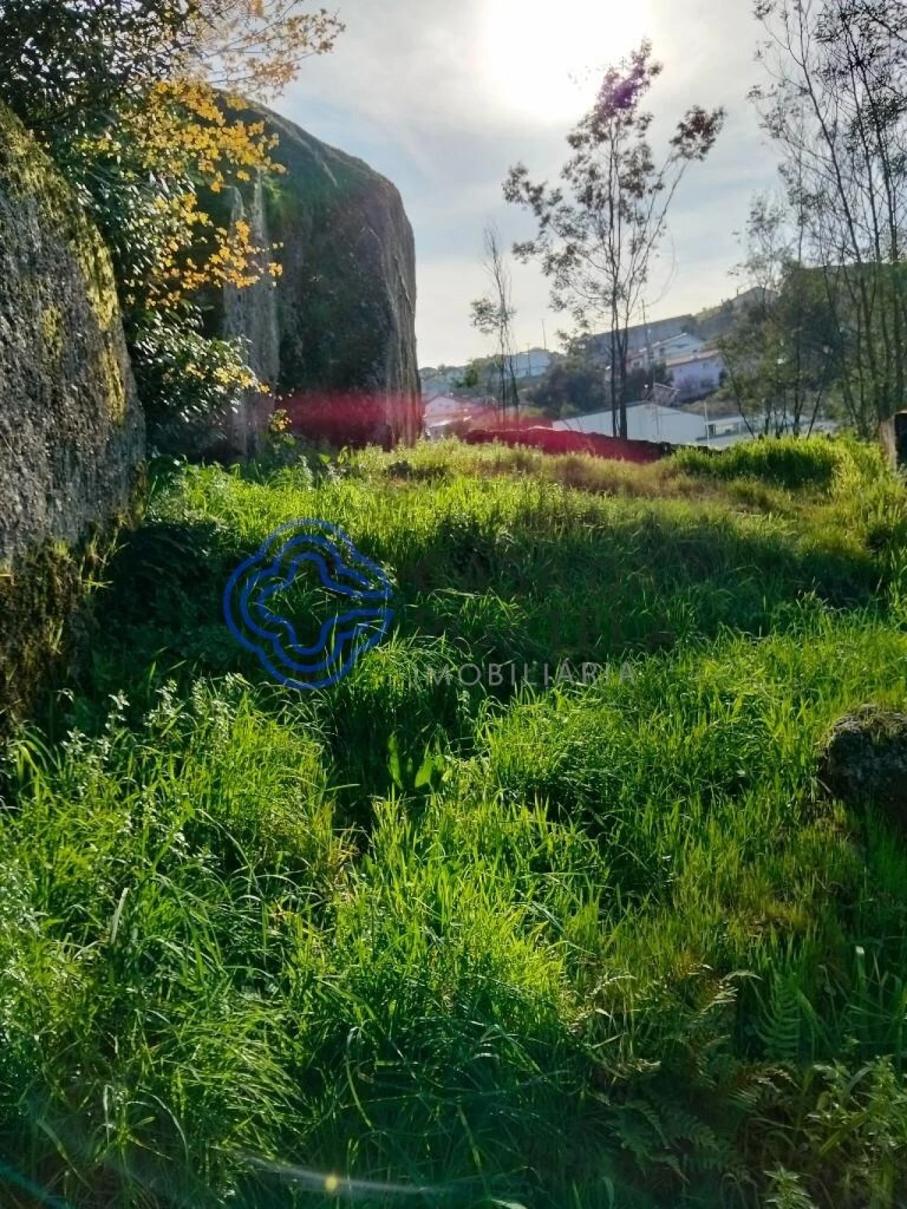 Moradia T2 para Venda em Vila Nova do Campo Foto 44