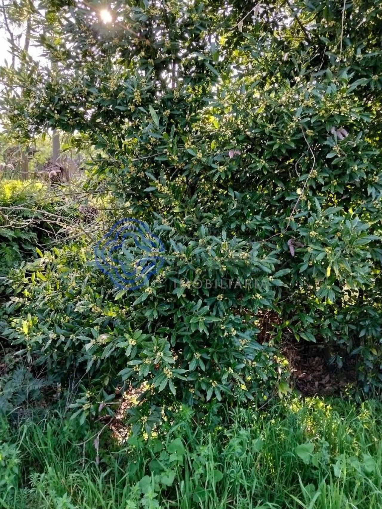 Moradia T2 para Venda em Vila Nova do Campo Foto 32