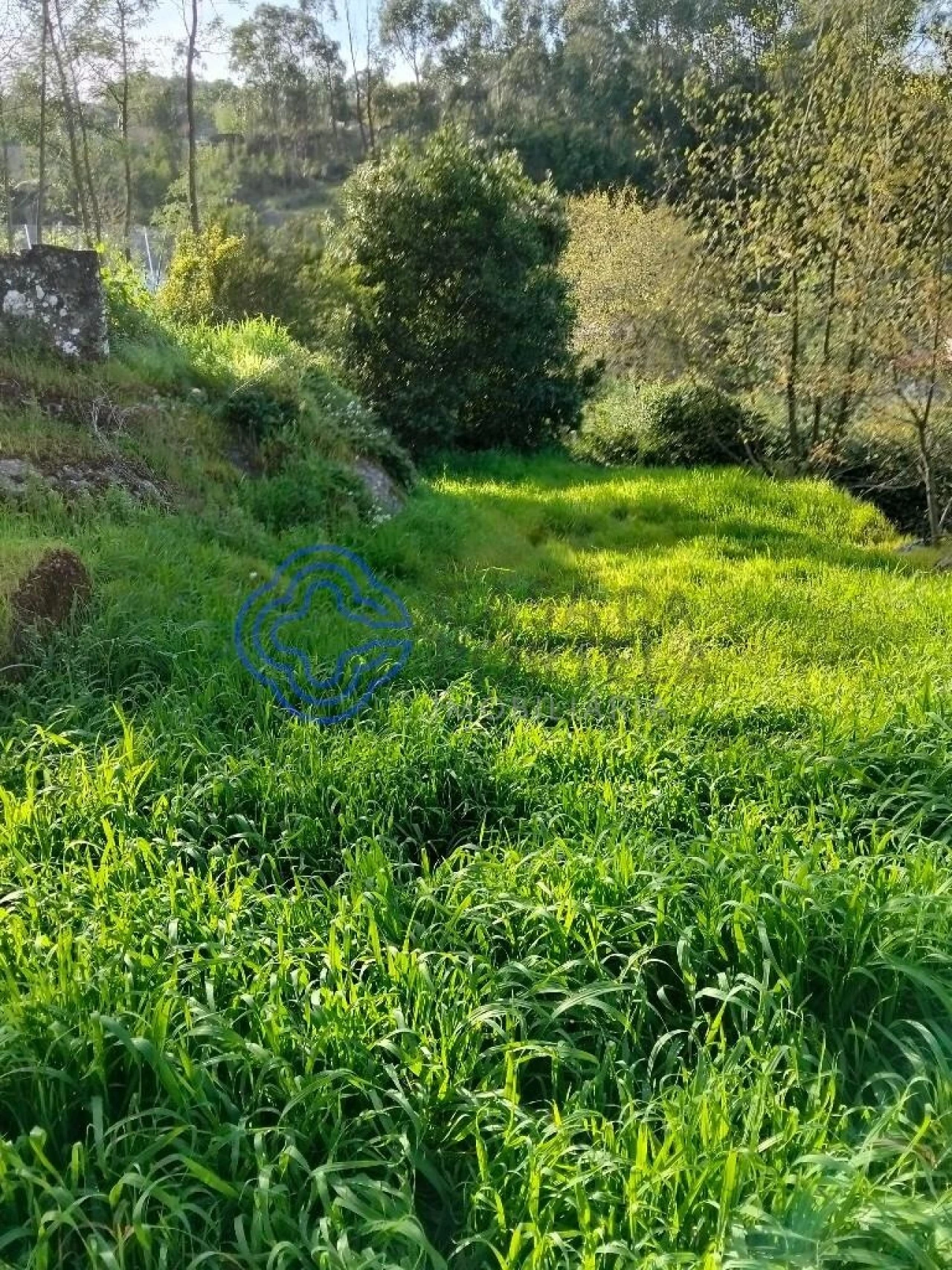Moradia T2 para Venda em Vila Nova do Campo Foto 34