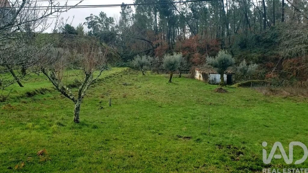 Moradia T1 para Venda em Sertã Foto 17