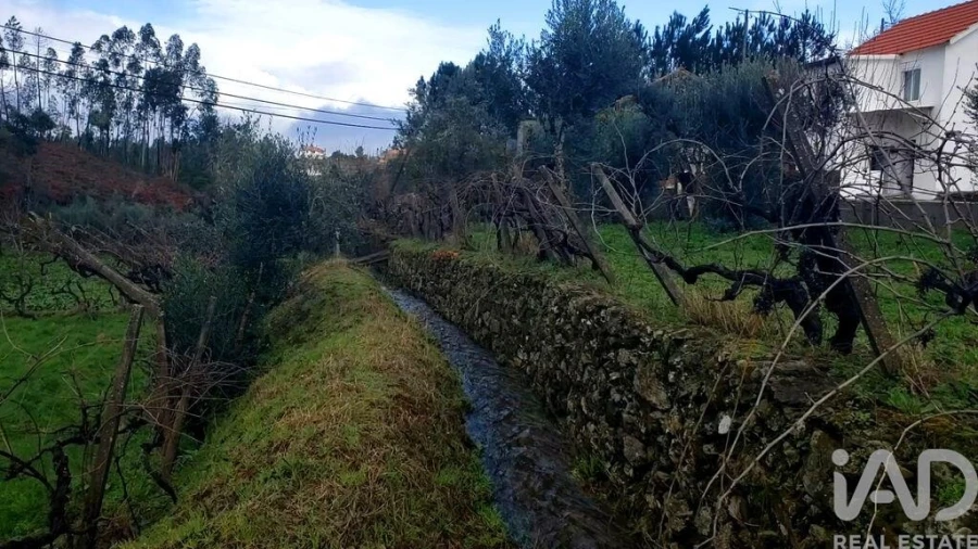 Moradia T1 para Venda em Sertã Foto 18