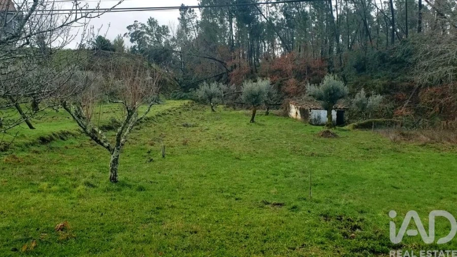 Moradia T1 para Venda em Sertã Foto 17