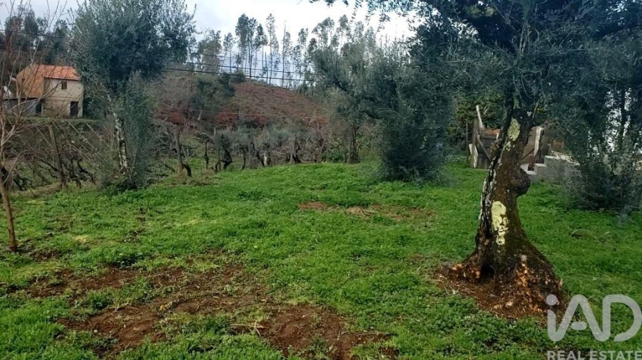 Moradia T1 para Venda em Sertã Foto 19