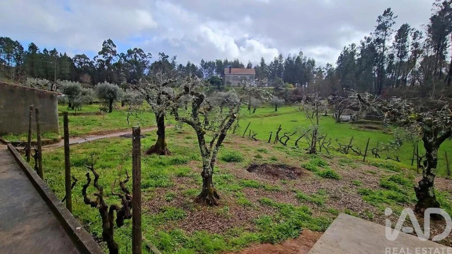 Moradia T1 para Venda em Sertã Foto 10