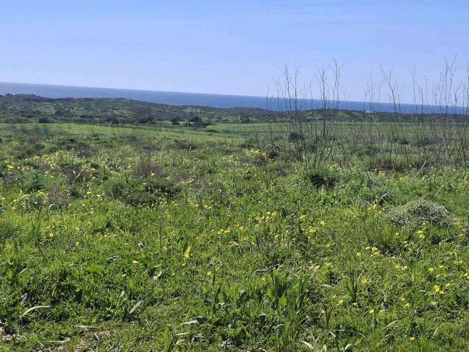 Terreno para Venda em Vila do Bispo e Raposeira Foto 1