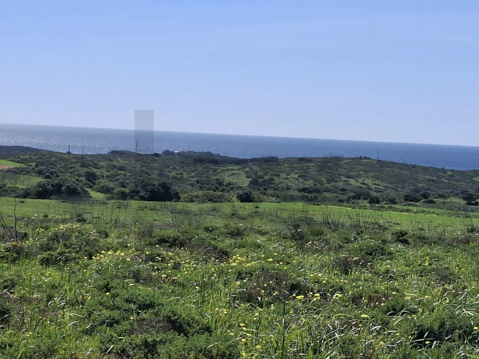 Terreno para Venda em Vila do Bispo e Raposeira Foto 16