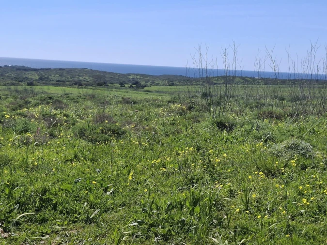 Terreno para Venda em Vila do Bispo e Raposeira