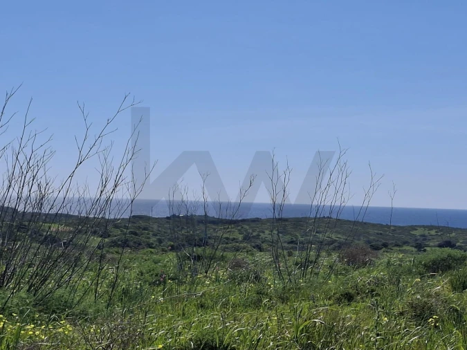 Terreno para Venda em Vila do Bispo e Raposeira Foto 19