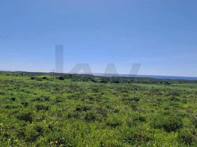 Terreno para Venda em Vila do Bispo e Raposeira Foto 13