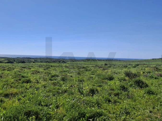 Terreno para Venda em Vila do Bispo e Raposeira Foto 14