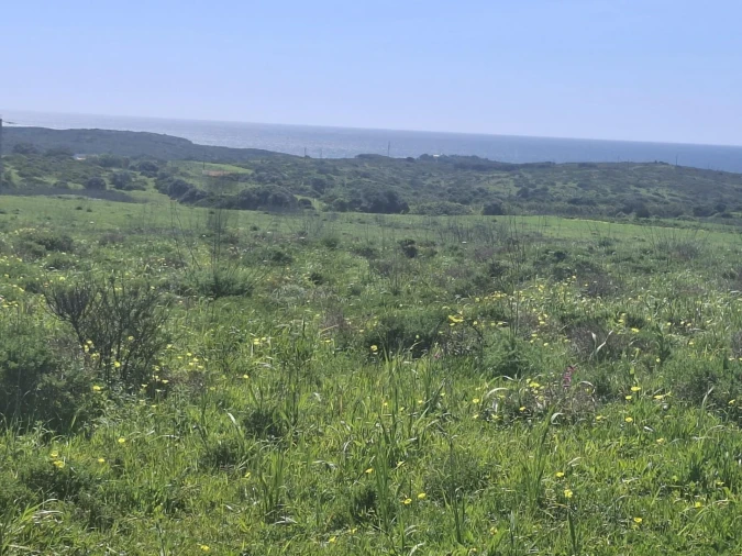 Terreno para Venda em Vila do Bispo e Raposeira Foto 7