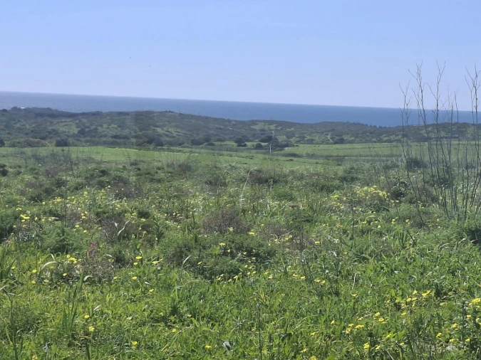 Terreno para Venda em Vila do Bispo e Raposeira Foto 8