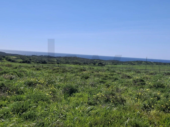 Terreno para Venda em Vila do Bispo e Raposeira Foto 17