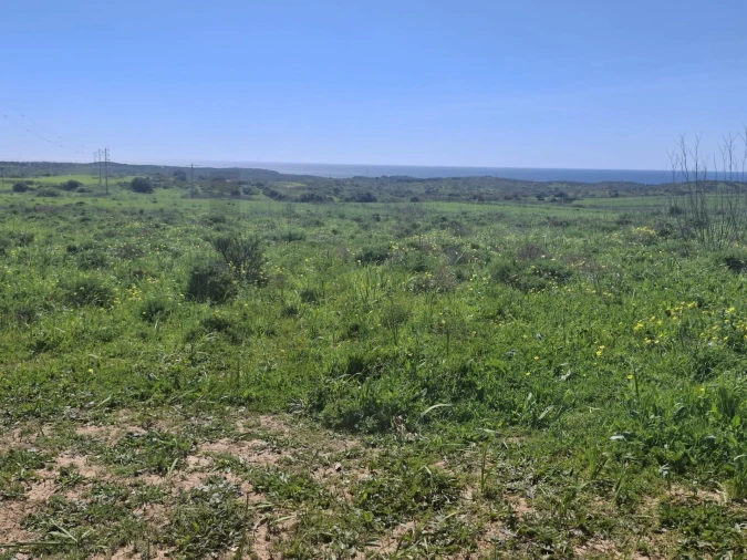 Terreno para Venda em Vila do Bispo e Raposeira Foto 6