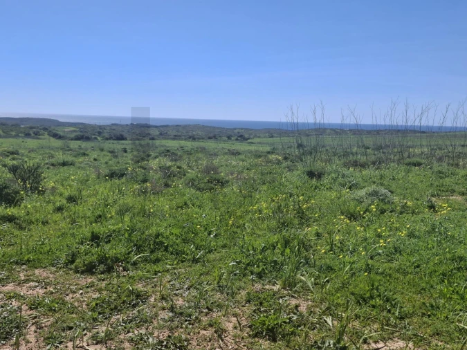 Terreno para Venda em Vila do Bispo e Raposeira Foto 2