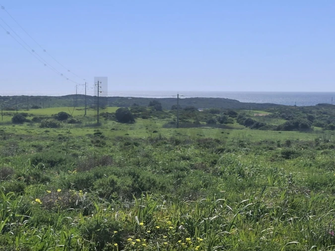 Terreno para Venda em Vila do Bispo e Raposeira Foto 11