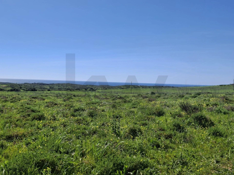Terreno para Venda em Vila do Bispo e Raposeira Foto 14