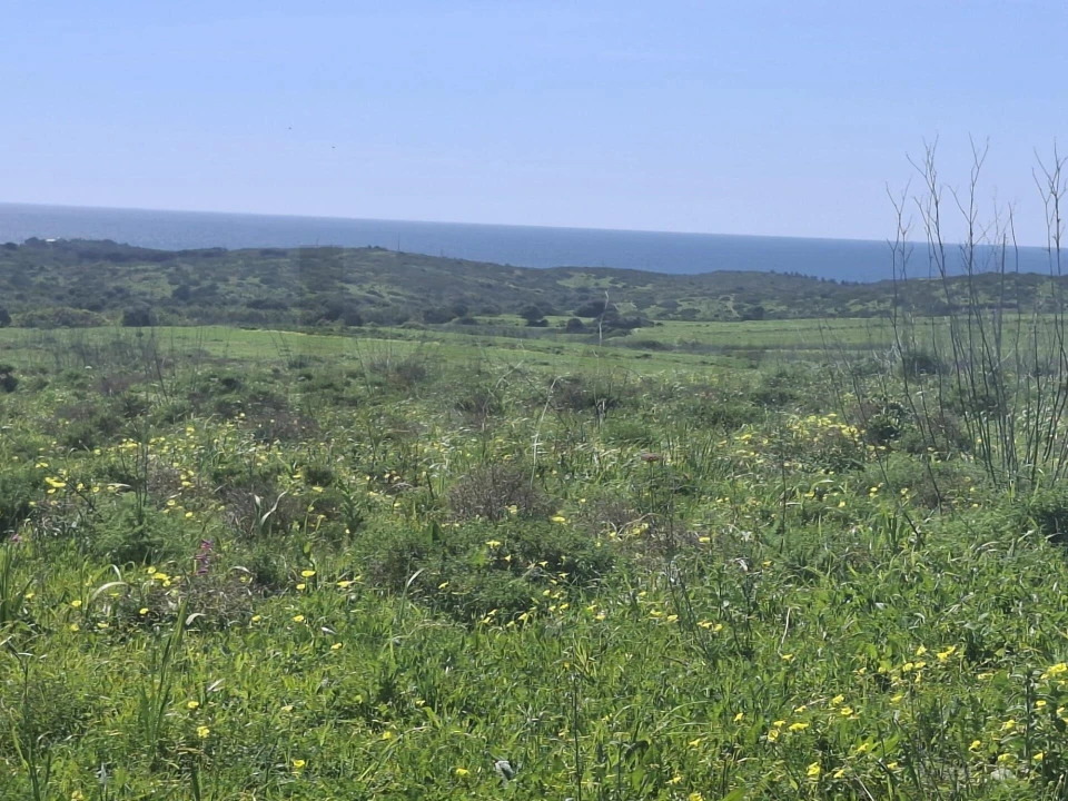 Terreno para Venda em Vila do Bispo e Raposeira Foto 8