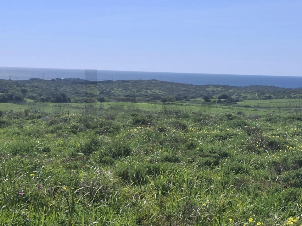 Terreno para Venda em Vila do Bispo e Raposeira Foto 9