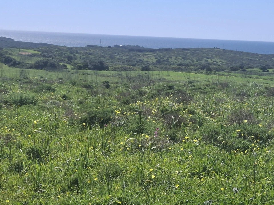 Terreno para Venda em Vila do Bispo e Raposeira Foto 4
