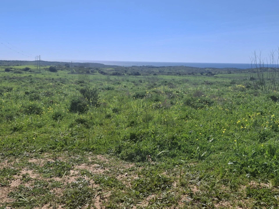 Terreno para Venda em Vila do Bispo e Raposeira Foto 6