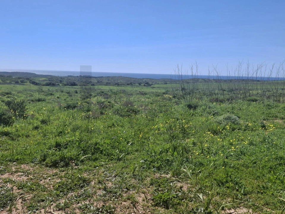 Terreno para Venda em Vila do Bispo e Raposeira Foto 2
