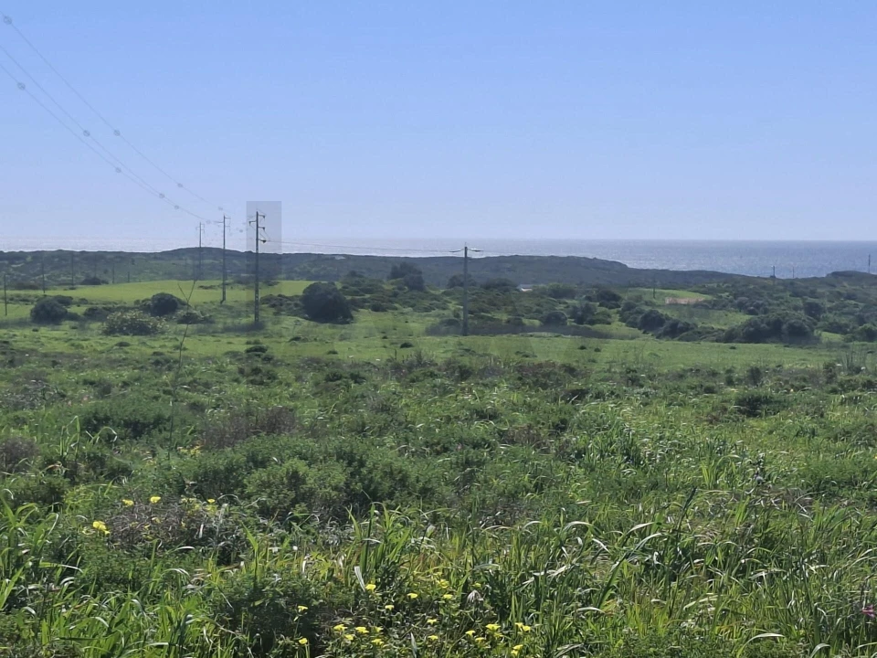 Terreno para Venda em Vila do Bispo e Raposeira Foto 11