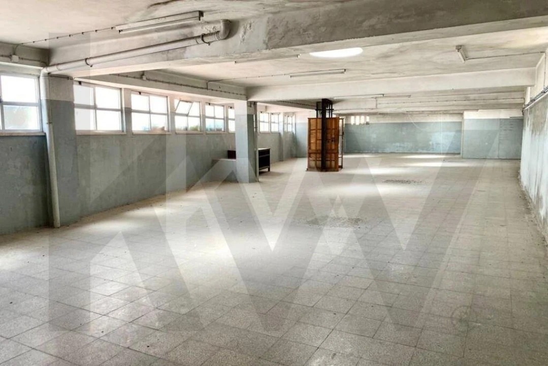 Loja para Arrendamento em São Vicente Foto 14