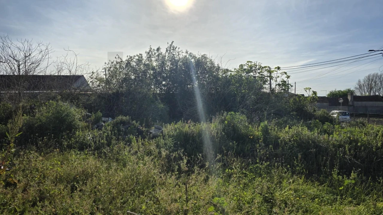 Terreno para Venda em Ílhavo (São Salvador) Foto 2