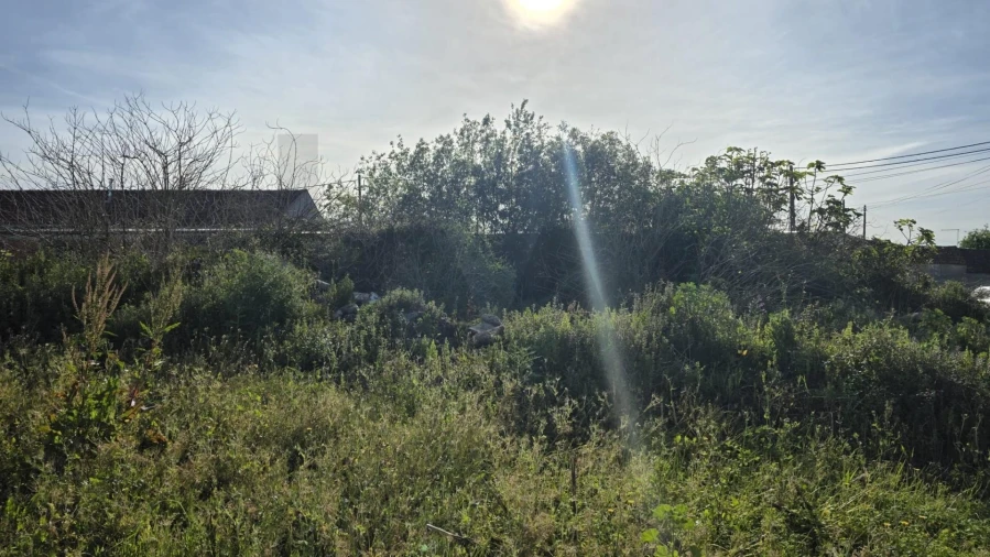 Terreno para Venda em Ílhavo (São Salvador) Foto 4