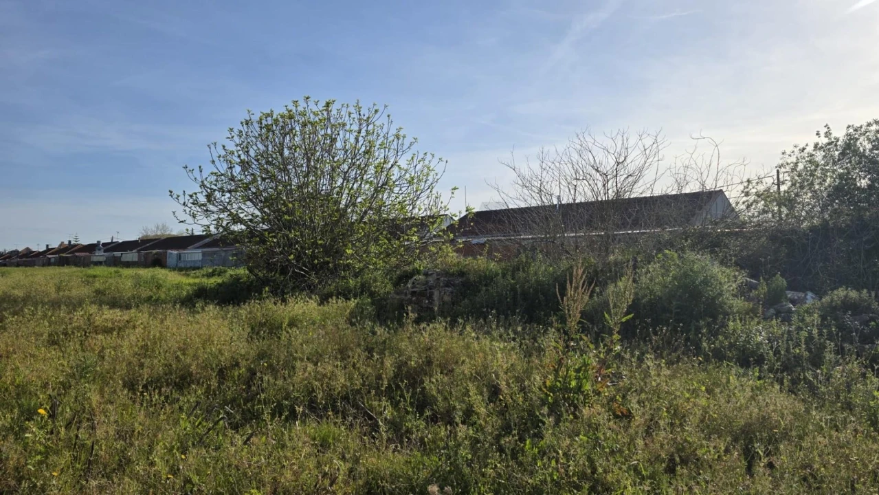 Terreno para Venda em Ílhavo (São Salvador) Foto 1