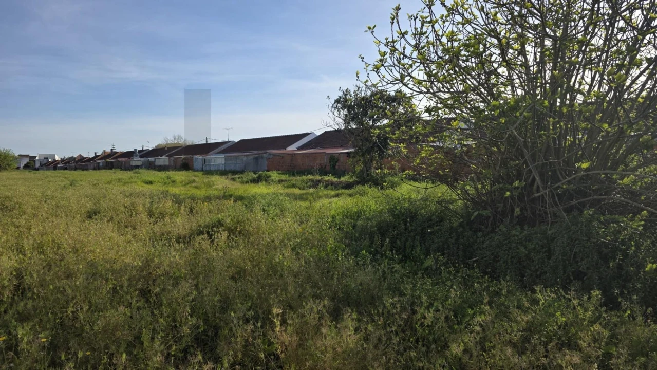 Terreno para Venda em Ílhavo (São Salvador) Foto 5
